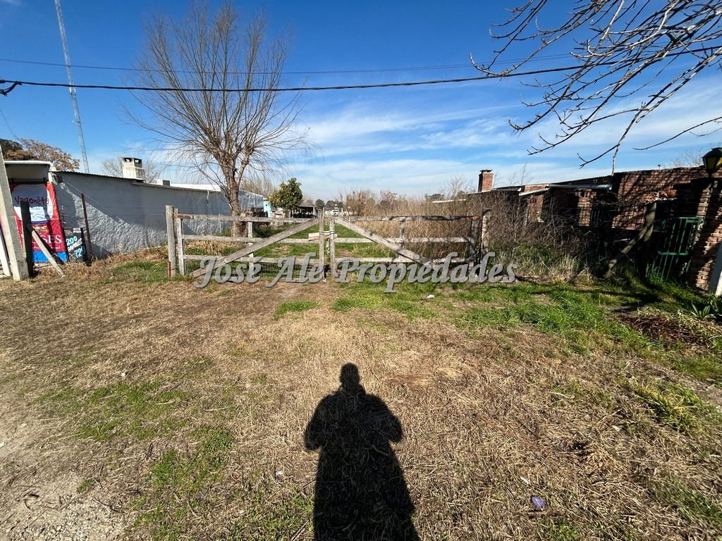 Imagen 8 de Terreno ubicado en el Real de San Carlos.