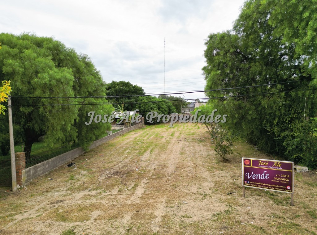 Imagen 1 de Estratégico terreno ubicado a metros de la Plaza de Toros, frente a la UDE.