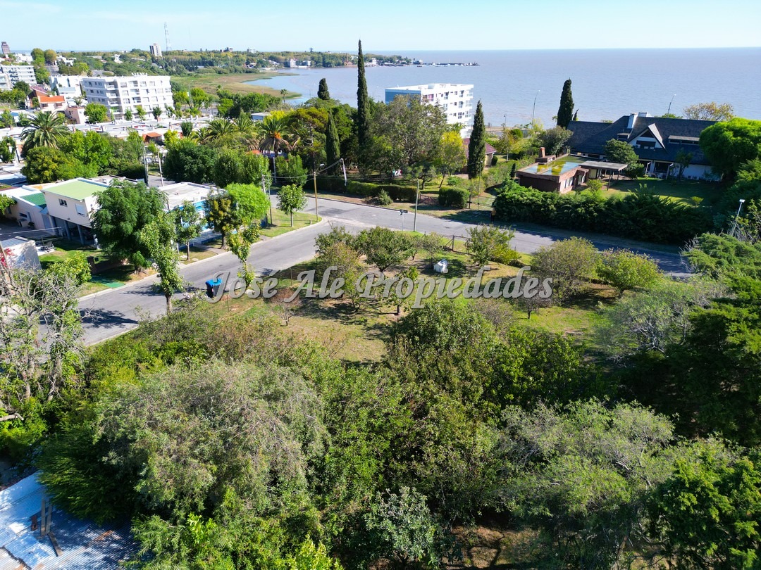 Imagen 1 de Importante esquina de 637 m2 de superficie, con frentes de 23 y 30 metros.