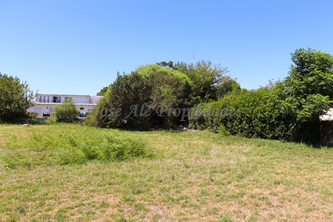 Imagen 2 de Terreno ubicado en Maestro Hemerson Klappenbach a tan solo 100 mts de la renovada Plaza de Toros, próximo a todos los servicios.