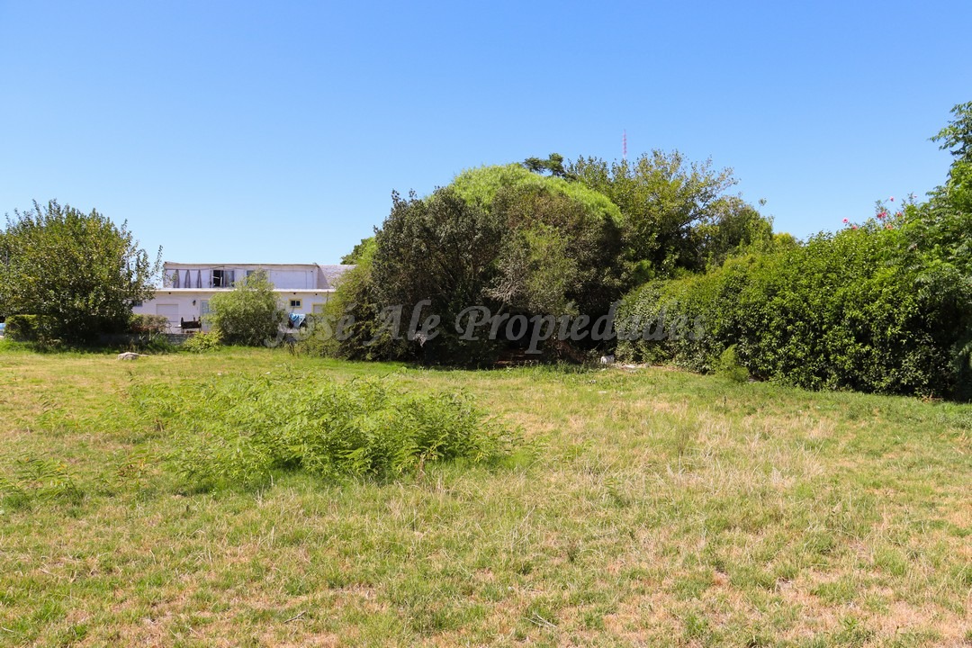 Imagen 5 de Terreno ubicado en Maestro Hemerson Klappenbach a tan solo 100 mts de la renovada Plaza de Toros, próximo a todos los servicios.