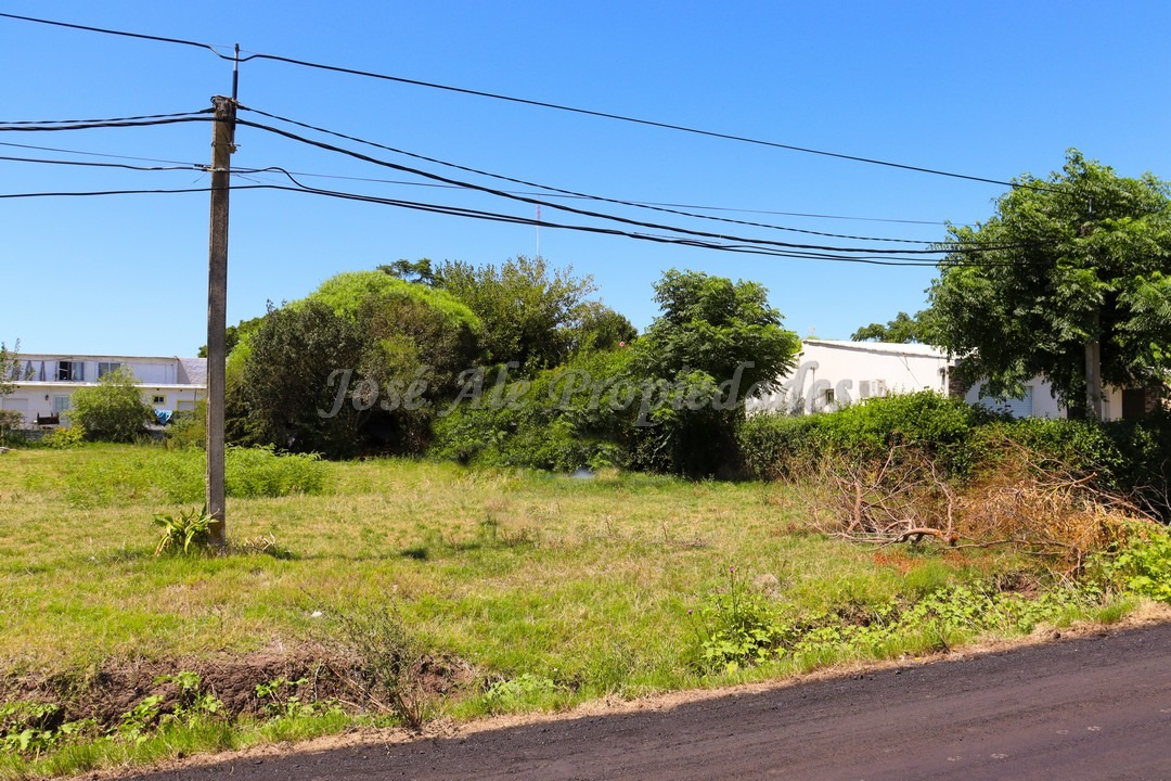 Imagen 8 de Terreno ubicado en Maestro Hemerson Klappenbach a tan solo 100 mts de la renovada Plaza de Toros, próximo a todos los servicios.