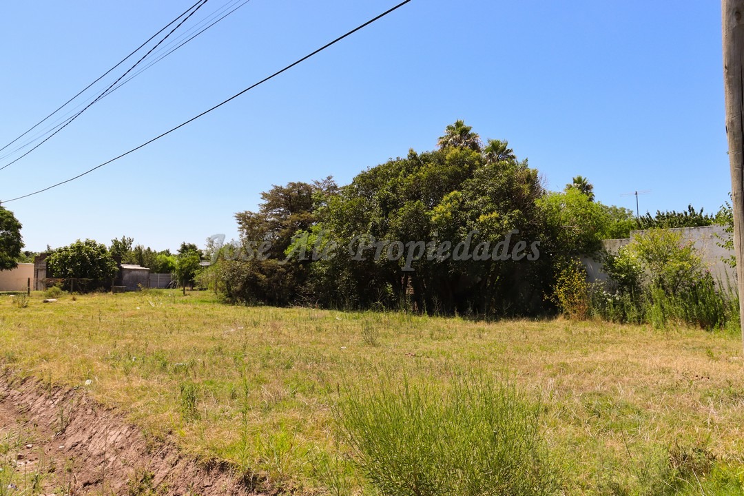 Imagen 2 de Terreno ubicado en Maestro Hemerson Klappenbach a tan solo 200 mts de la renovada Plaza de Toros, próximo a todos los servicios.