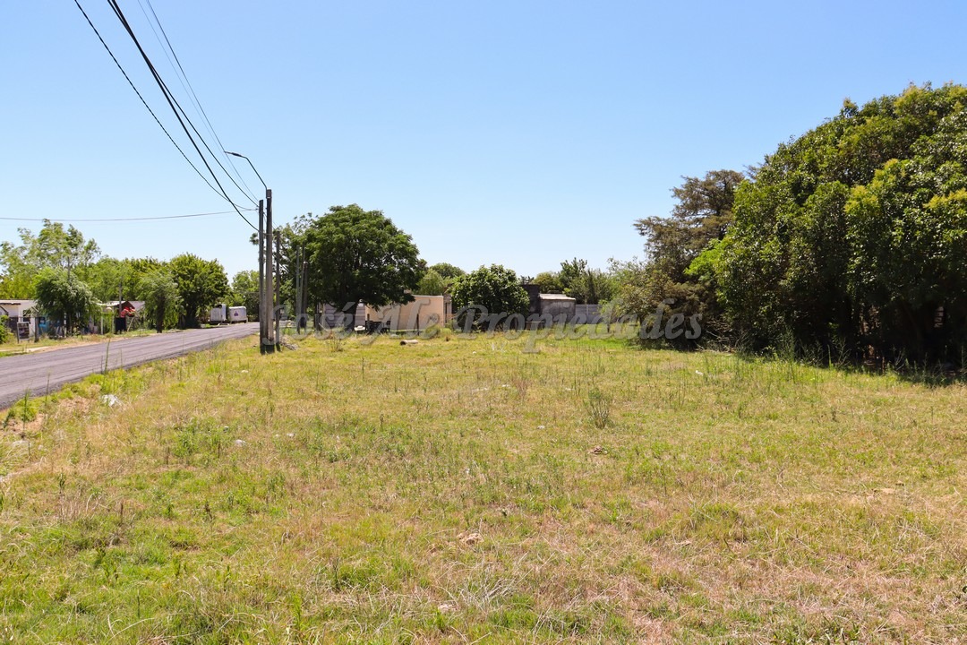 Imagen 3 de Terreno ubicado en Maestro Hemerson Klappenbach a tan solo 200 mts de la renovada Plaza de Toros, próximo a todos los servicios.