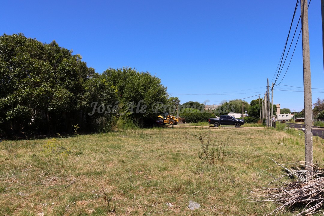 Imagen 7 de Terreno ubicado en Maestro Hemerson Klappenbach a tan solo 200 mts de la renovada Plaza de Toros, próximo a todos los servicios.