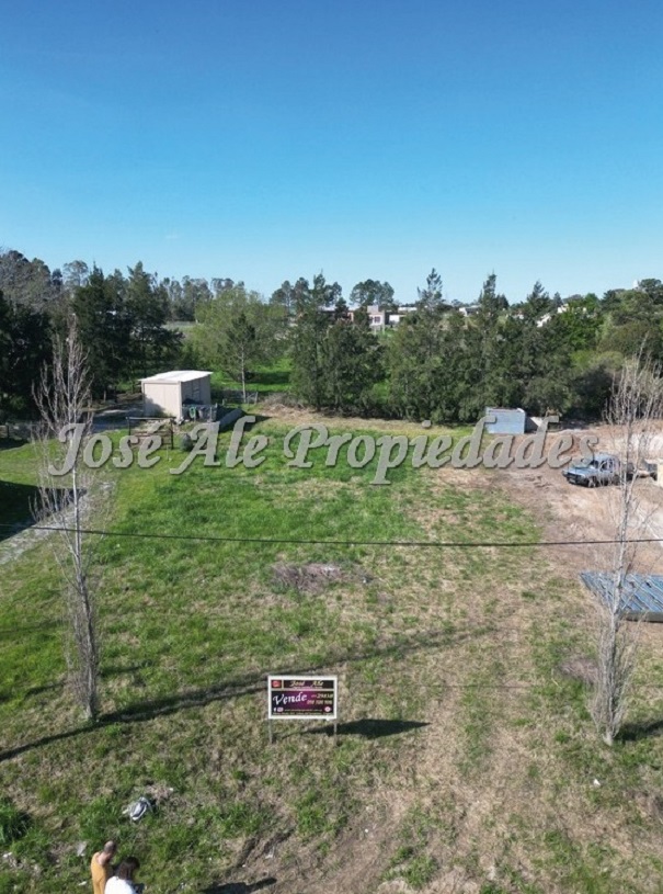 Imagen 3 de Amplio terreno de 1200 mts de superficie en hermosa y tranquila zona.