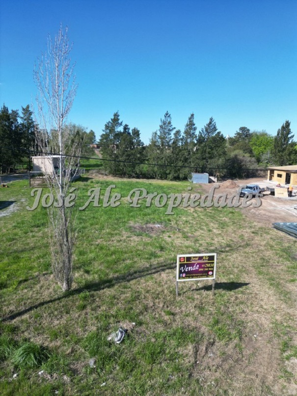 Imagen 9 de Amplio terreno de 1200 mts de superficie en hermosa y tranquila zona.