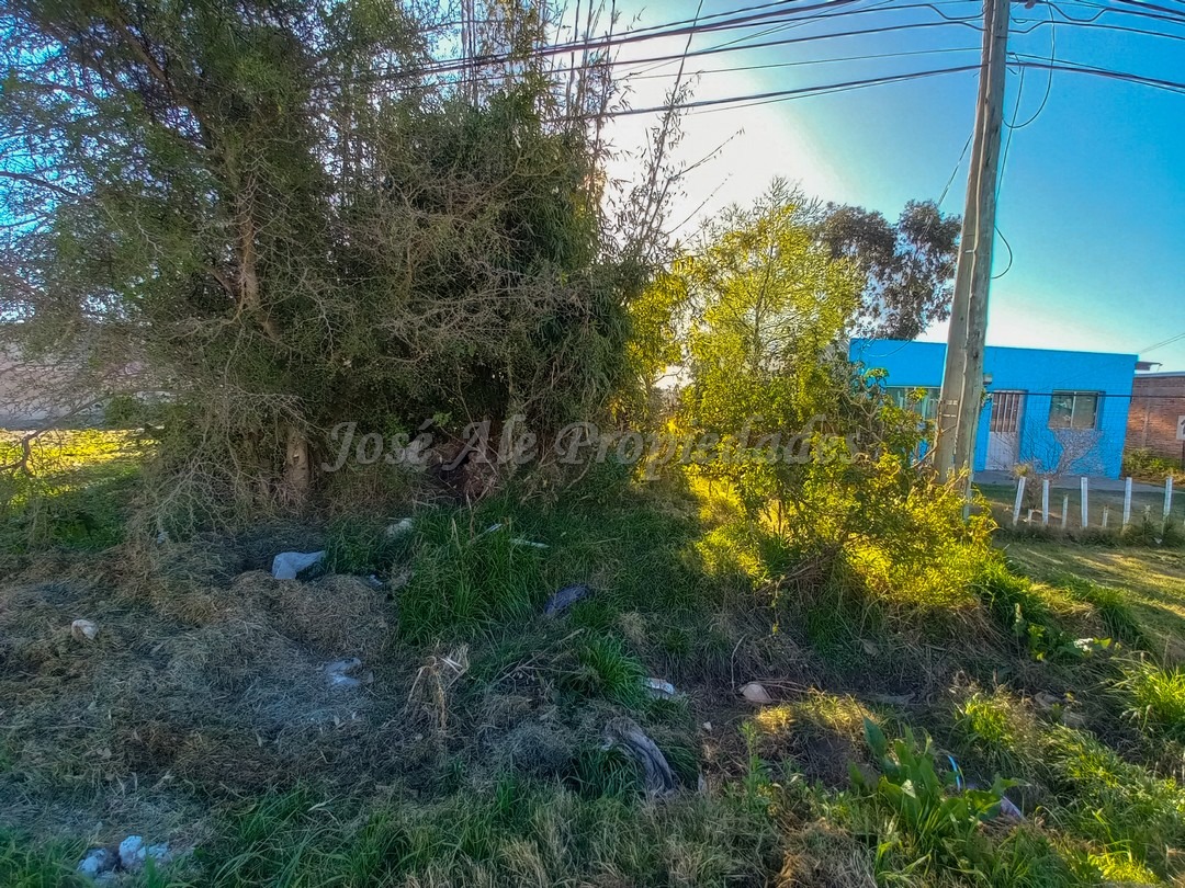 Imagen 1 de Terreno ubicado próximo a la entrada de Barrio El General, cerca de todos los servicios.