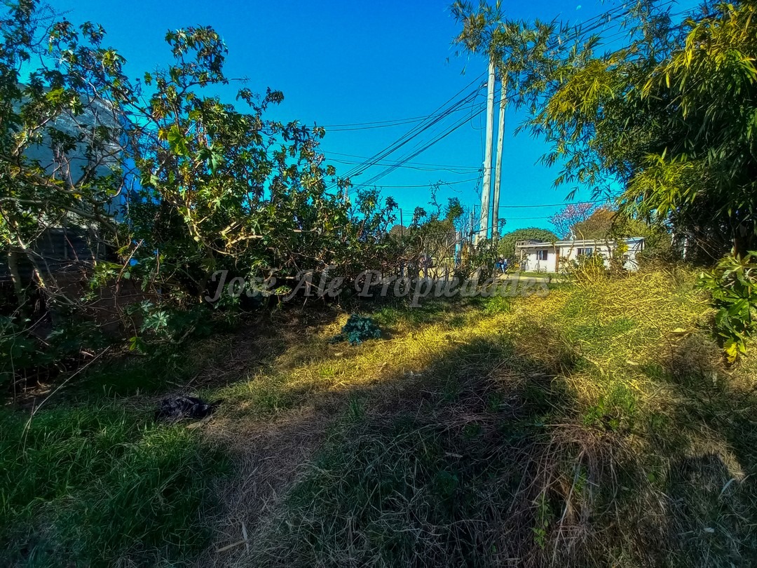 Imagen 2 de Terreno ubicado próximo a la entrada de Barrio El General, cerca de todos los servicios.
