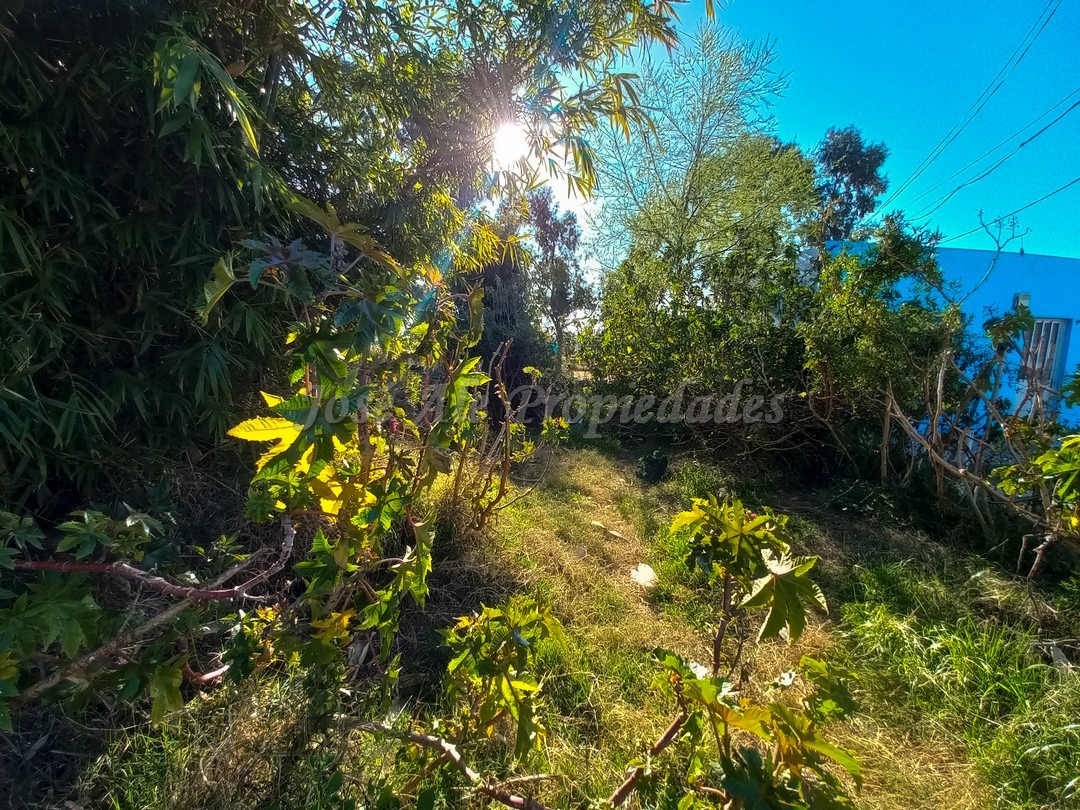 Imagen 3 de Terreno ubicado próximo a la entrada de Barrio El General, cerca de todos los servicios.