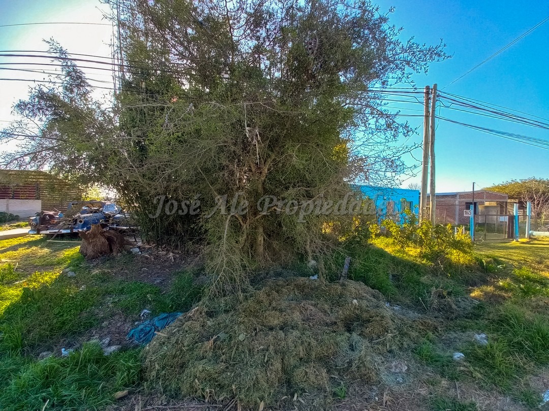 Imagen 5 de Terreno ubicado próximo a la entrada de Barrio El General, cerca de todos los servicios.