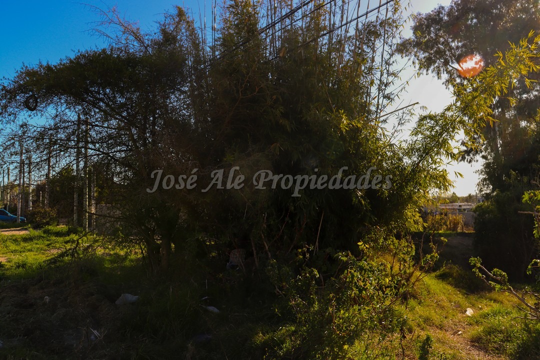 Imagen 6 de Terreno ubicado próximo a la entrada de Barrio El General, cerca de todos los servicios.