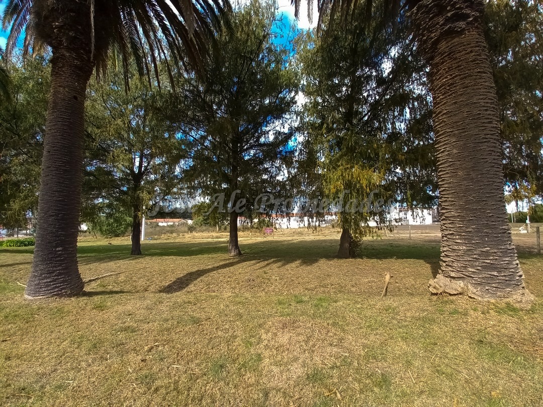 Imagen 4 de Terreno ubicado a solo pasos de la Avenida Luis Alberto de Herrera y de todos los servicios.