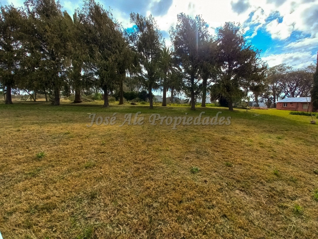 Imagen 5 de Terreno ubicado a solo pasos de la Avenida Luis Alberto de Herrera y de todos los servicios.