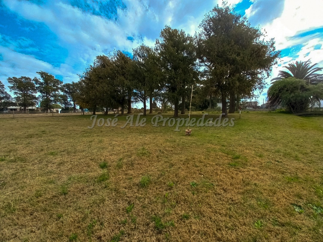 Imagen 6 de Terreno ubicado a solo pasos de la Avenida Luis Alberto de Herrera y de todos los servicios.