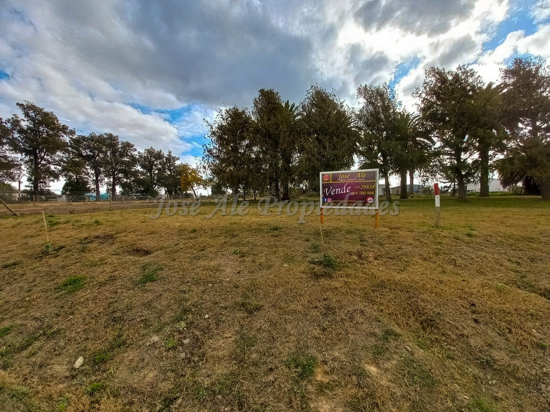 Imagen 8 de Terreno ubicado a solo pasos de la Avenida Luis Alberto de Herrera y de todos los servicios.