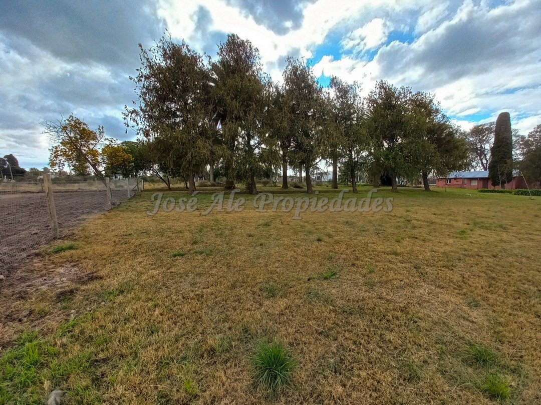 Imagen 4 de Terreno ubicado a solo pasos de la Avenida Luis Alberto de Herrera y de todos los servicios.