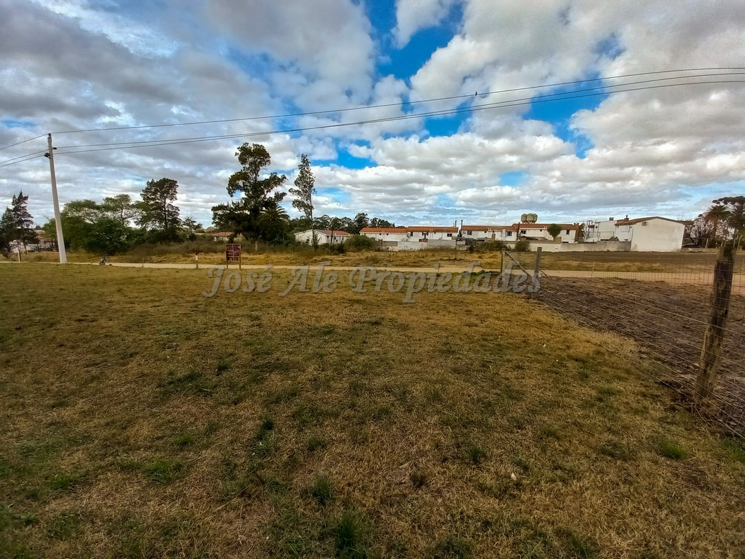 Imagen 5 de Terreno ubicado a solo pasos de la Avenida Luis Alberto de Herrera y de todos los servicios.