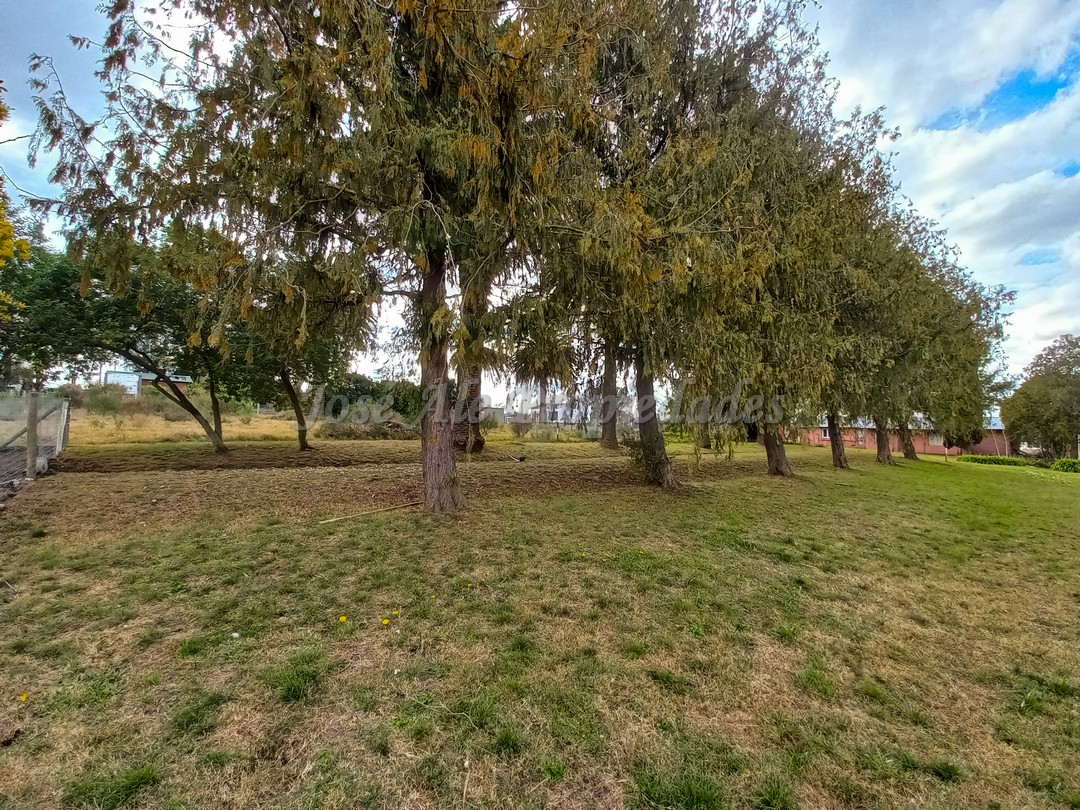 Imagen 6 de Terreno ubicado a solo pasos de la Avenida Luis Alberto de Herrera y de todos los servicios.