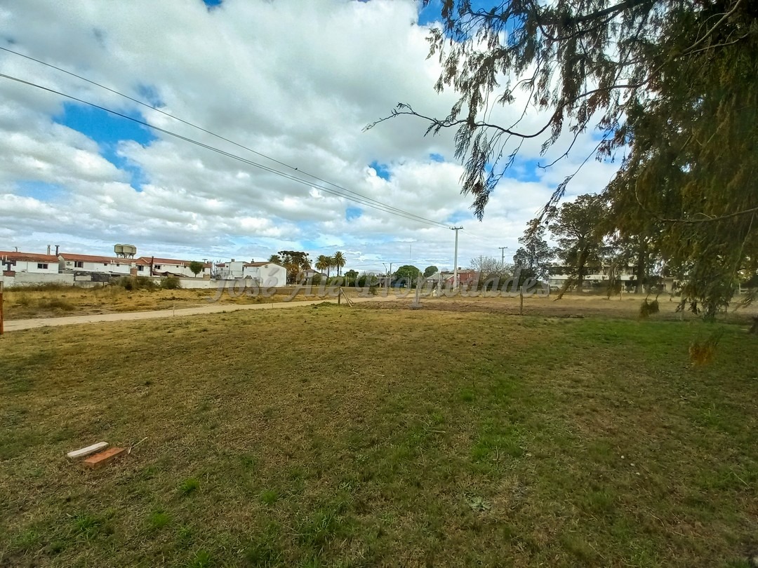Imagen 8 de Terreno ubicado a solo pasos de la Avenida Luis Alberto de Herrera y de todos los servicios.