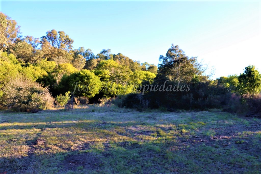 Imagen 1 de Hermosa fracción de 2 hectáreas en balneario El Ensueño, a solo 500 metros de la playa.