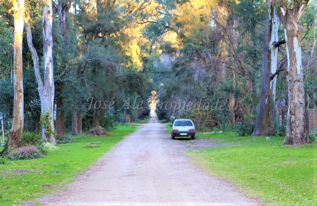 Imagen 3 de Hermosa fracción de 2 hectáreas en balneario El Ensueño, a solo 500 metros de la playa.