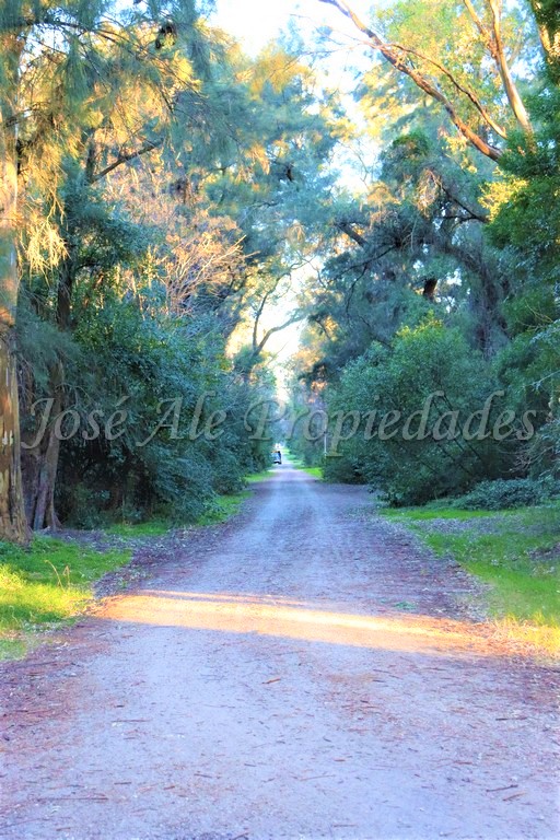 Imagen 8 de Hermosa fracción de 2 hectáreas en balneario El Ensueño, a solo 500 metros de la playa.