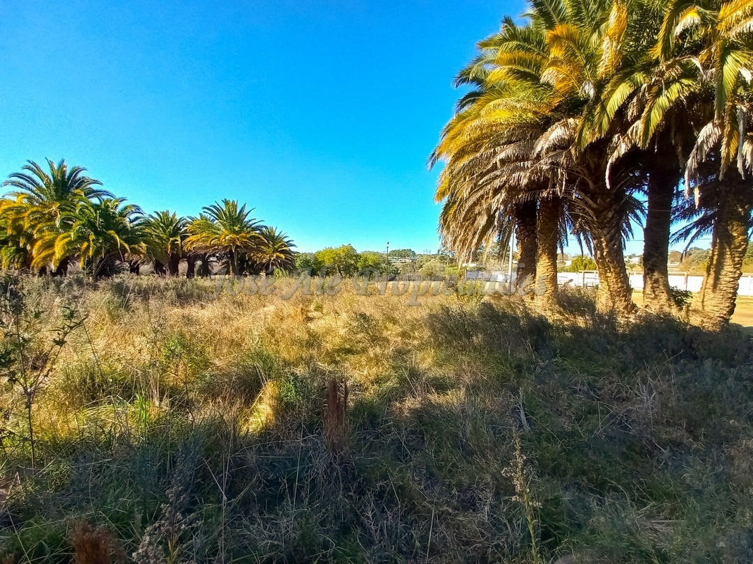 Imagen 1 de Oportunidad terrenos en altura y nivelados, en zona de pleno desarrollo, en barrio San Benito.