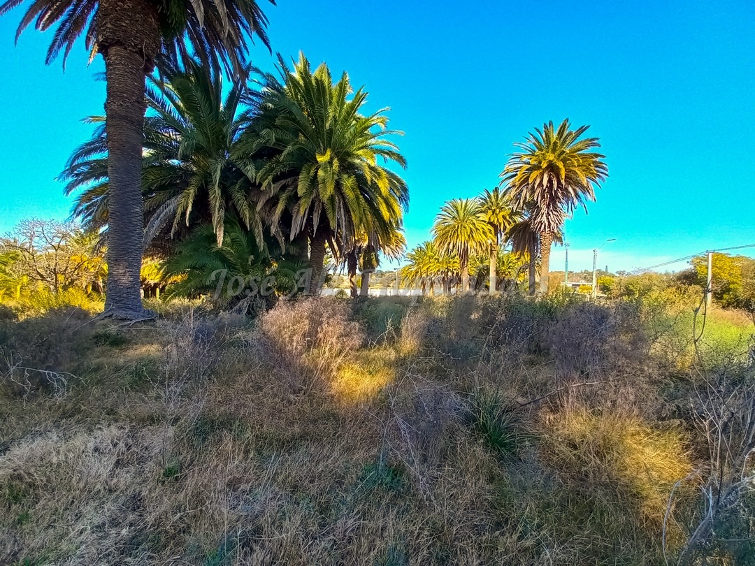Imagen 5 de Oportunidad terrenos en altura y nivelados, en zona de pleno desarrollo, en barrio San Benito.