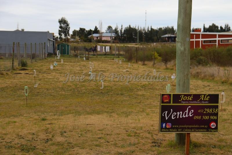 Hermoso terreno de 536 m2 con 12 metros de frente, nivelado pronto para construir, se encuentra ubicado en fraccionamiento Altos de San Carlos.