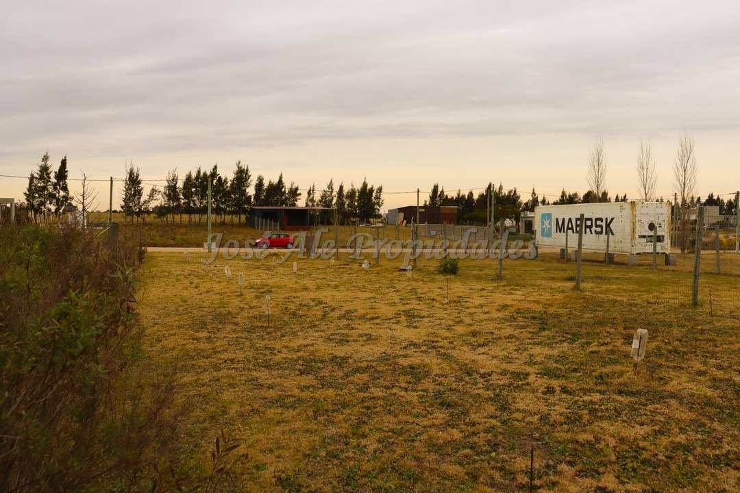 Imagen 4 de Hermoso terreno de 536 m2 con 12 metros de frente, nivelado pronto para construir, se encuentra ubicado en fraccionamiento Altos de San Carlos.