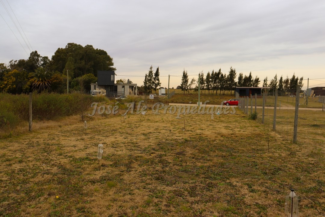 Imagen 6 de Hermoso terreno de 536 m2 con 12 metros de frente, nivelado pronto para construir, se encuentra ubicado en fraccionamiento Altos de San Carlos.