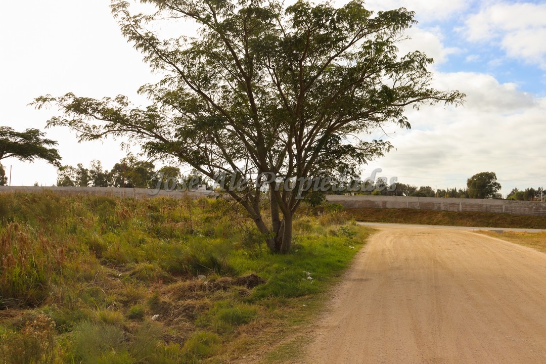 Imagen 2 de Fraccionamiento en Real de San Carlos.