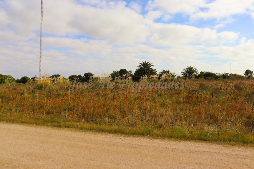 Imagen 4 de Fraccionamiento en Real de San Carlos.