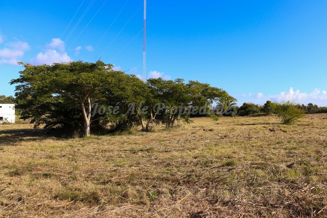 Imagen 7 de Fraccionamiento en Real de San Carlos.