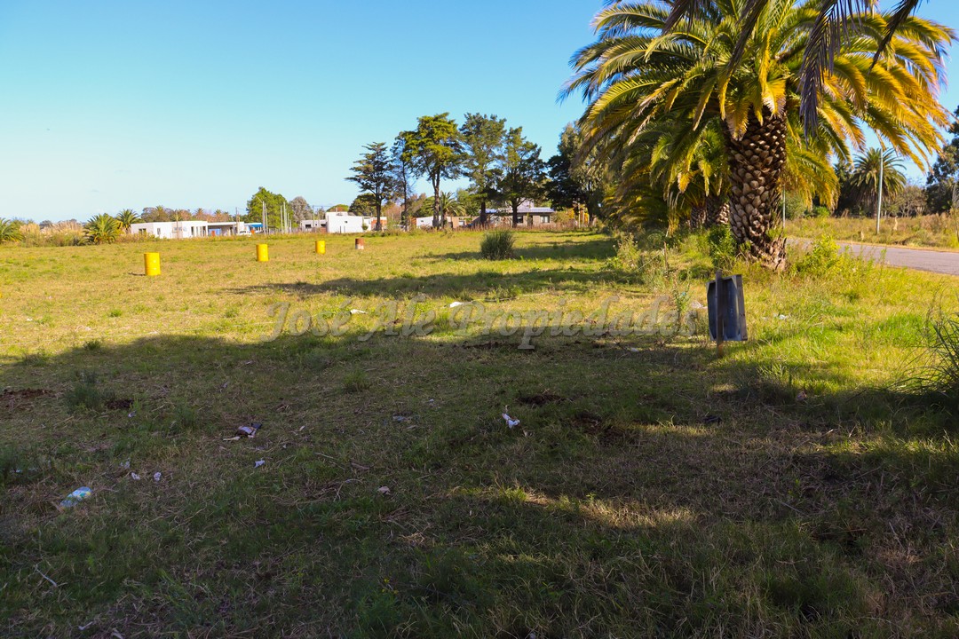 Imagen 2 de Terreno ubicado en fraccionamiento Los Patos.
