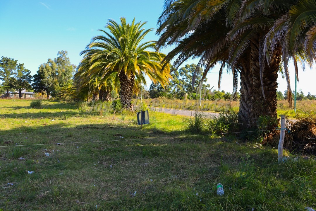 Imagen 3 de Terreno ubicado en fraccionamiento Los Patos.
