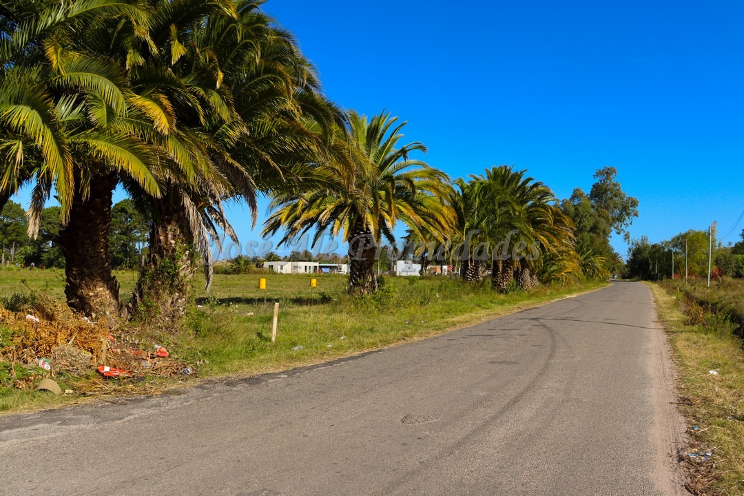 Imagen 6 de Terreno ubicado en fraccionamiento Los Patos.