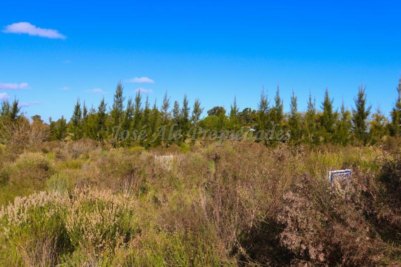 Hermoso terreno despejado, rodeado de naturaleza.