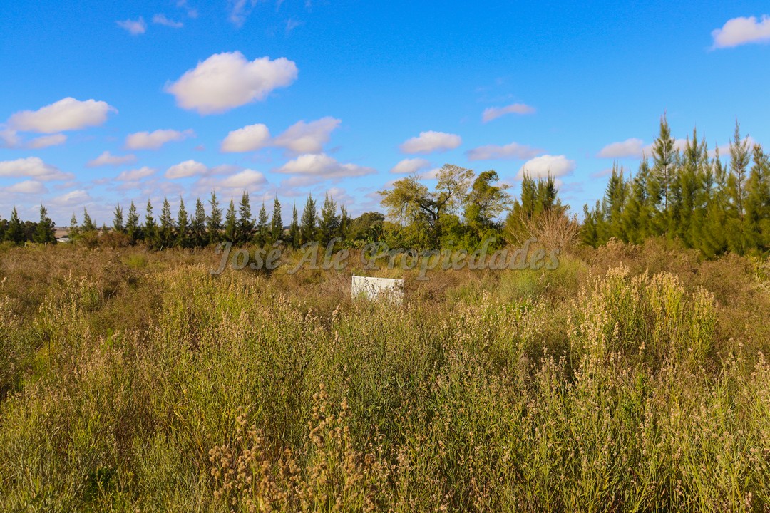 Imagen 2 de Hermoso terreno despejado, rodeado de naturaleza.
