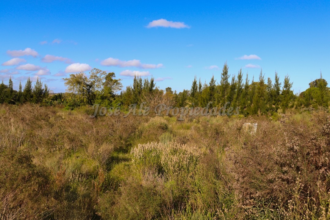 Imagen 3 de Hermoso terreno despejado, rodeado de naturaleza.