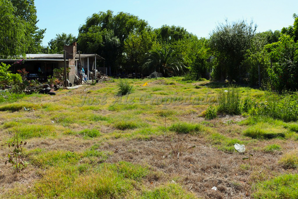 Imagen 3 de Extenso terreno de 600 m2 con 12mts de frente Terreno.