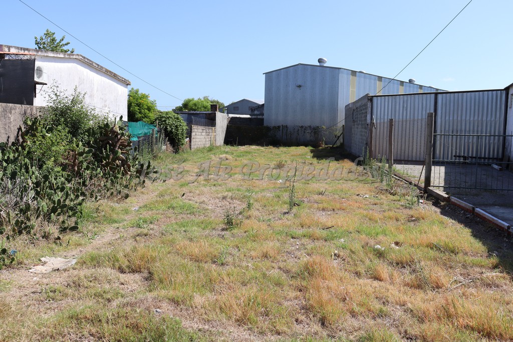 Imagen 3 de Terreno muy bien ubicado en calle Dr. Eliexer Fernandez a metros del Hospital y de la calle Emilio Frugoni, y a cuadras de Tres Avenidas .