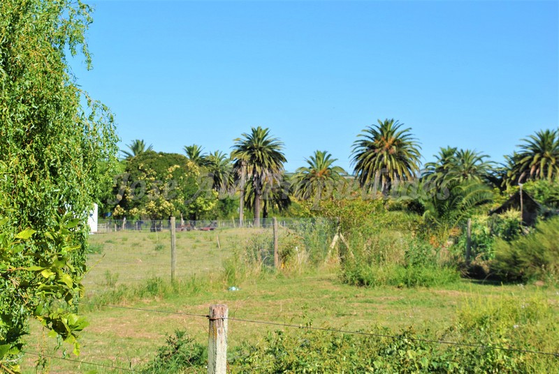 Imagen 4 de Hermoso terreno de fácil acceso a 100m de ruta 1 y a 10 minutos del centro de la ciudad de Colonia.