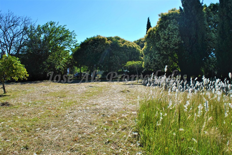 Imagen 5 de Hermoso terreno de fácil acceso a 100m de ruta 1 y a 10 minutos del centro de la ciudad de Colonia.