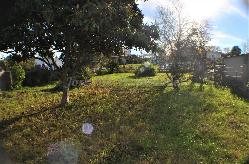 Imagen 4 de Espectacular terreno sobre Avda. Paul Harris.