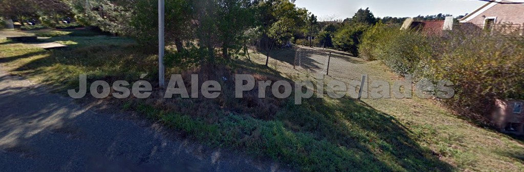 Imagen 3 de Hermoso terreno ubicado en Pinar de Hurtado.