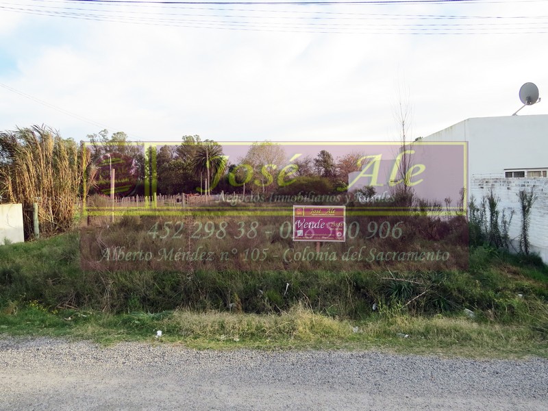 Imagen 1 de Terreno de 1015 m2 de superficie, con 14m de frente a tan solo metros de Plaza de Toros sobre calle Raúl Maurente.