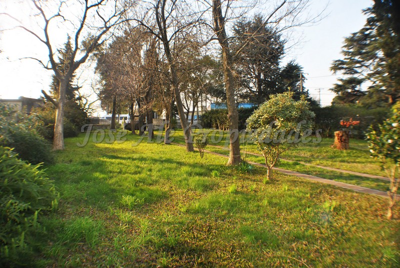 Imagen 3 de Terreno estratégicamente ubicado en esquina, zona Real de San Carlos, a paso de todos los servicios.
