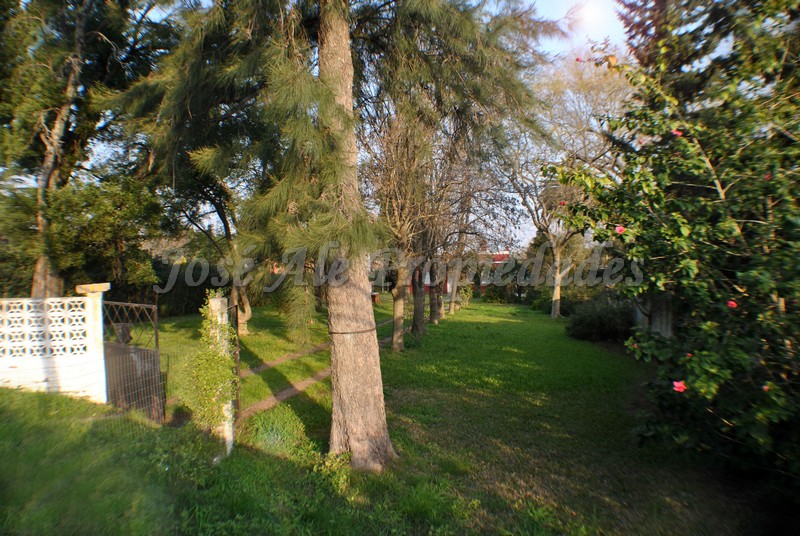 Imagen 8 de Terreno estratégicamente ubicado en esquina, zona Real de San Carlos, a paso de todos los servicios.